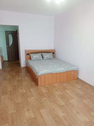 1-комнатная квартира, 45 м² — посуточно в Иркутске